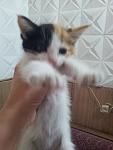     
: 20130828_121645.jpg
: 9
:	62.1 
ID:	6734937