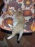     
: 20130810_191350.jpg
: 2
:	102.1 
ID:	6735287