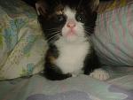     
: 2013-08-28 16.50.33.jpg
: 6
:	107.8 
ID:	6740237