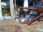     
: 2013-08-28 16.35.19.jpg
: 5
:	140.3 
ID:	6740248