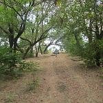     
: IMG_1274.jpg
: 88
:	265.0 
ID:	6741894