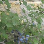     
: IMG_1284.jpg
: 76
:	81.6 
ID:	6741989