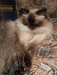     
: P5050115.jpg
: 7
:	132.2 
ID:	6744252