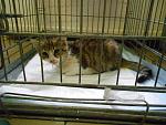     
: DSCN0577.jpg
: 13
:	147.9 
ID:	6749863
