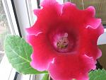     
: IMG_8157.jpg
: 10
:	100.1 
ID:	6749919