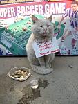     
: s3img_11566736_4359_1.jpg
: 110
:	57.2 
ID:	675111