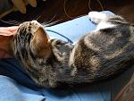     
: DSCN0588.jpg
: 10
:	185.7 
ID:	6753044