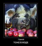    
: s3img_53949185_44_1.jpg
: 76
:	58.6 
ID:	675395