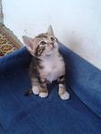     
: 2013-08-28 16.28.26.jpg
: 5
:	65.9 
ID:	6755509