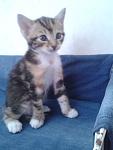     
: 2013-08-28 16.27.00.jpg
: 14
:	59.9 
ID:	6755522