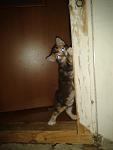     
: 2013-08-27 19.49.25.jpg
: 8
:	52.5 
ID:	6755532