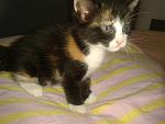     
: 2013-08-28 16.49.15.jpg
: 8
:	122.0 
ID:	6755535