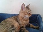     
: 2013-08-28 16.38.41.jpg
: 4
:	89.0 
ID:	6755549