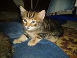     
: 2013-08-27 19.35.09.jpg
: 6
:	163.7 
ID:	6755553