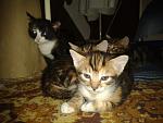     
: 2013-08-27 19.34.46.jpg
: 11
:	129.5 
ID:	6755559