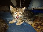     
: 2013-08-27 19.34.57.jpg
: 5
:	153.1 
ID:	6755562