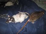     
: IMG_0636.jpg
: 10
:	147.1 
ID:	6756490