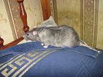     
: IMG_0646.jpg
: 9
:	197.9 
ID:	6756543