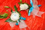     
: DSC_0037.jpg
: 14
:	161.4 
ID:	6756815