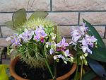     
: DSC03521.JPG
: 28
:	145.8 
ID:	6756821