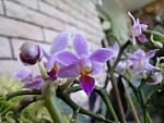     
: DSC03523.JPG
: 25
:	102.5 
ID:	6756822