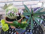     
: DSC03524.JPG
: 24
:	204.6 
ID:	6756824