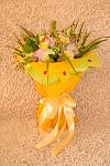     
: DSC_0006.jpg
: 8
:	106.5 
ID:	6756925