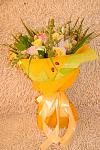     
: DSC_0013.jpg
: 5
:	108.5 
ID:	6756944
