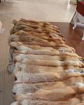     
: 244817_20130816122113_600x600.jpg
: 18
:	48.0 
ID:	6757511