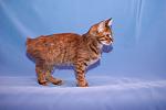     
: DSC_0473.jpg
: 3
:	21.1 
ID:	6759576