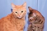     
: DSC_0477.jpg
: 3
:	33.7 
ID:	6759578