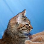     
: DSC_0529.jpg
: 4
:	43.4 
ID:	6759585