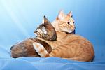     
: DSC_0536.jpg
: 2
:	26.0 
ID:	6759588