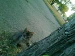     
: Фото0398.jpg
: 7
:	184.4 
ID:	6760801