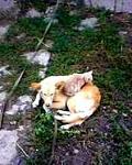     
: IMG0157A.jpg
: 12
:	11.9 
ID:	6766544