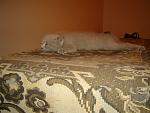     
: DSC09374.jpg
: 42
:	160.8 
ID:	6774804