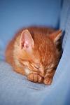     
: DSC_0592.jpg
: 6
:	44.2 
ID:	6779733