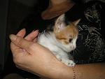     
: P1010270.jpg
: 4
:	119.3 
ID:	6784060