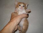     
: P1010289.jpg
: 5
:	100.7 
ID:	6784062