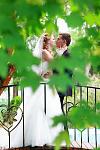     
: IMG_0363.jpg
: 112
:	83.9 
ID:	6784904
