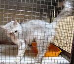     
: IMG_2982.jpg
: 16
:	155.8 
ID:	6787542
