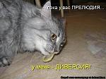     
: 1239787946_231786.jpg
: 61
:	41.2 
ID:	679943