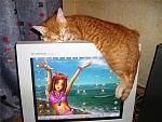     
: 1239787926_231409.jpg
: 55
:	77.1 
ID:	679947