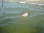     
: DSC01675.jpg
: 21
:	81.1 
ID:	6801973