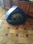    
: IMG_0342.jpg
: 18
:	93.7 
ID:	6801989