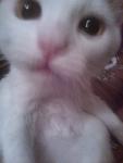    
: WP_000820.jpg
: 14
:	84.8 
ID:	6802797