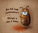     
: 2388487b5558dbcf9ffeb8dbae2d3f1e_tara.jpg
: 5
:	160.5 
ID:	6804097
