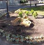     
: 13784847563866.jpg
: 12
:	209.7 
ID:	6805315