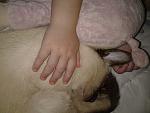     
: 20130907_174225.jpg
: 5
:	107.3 
ID:	6806534