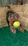     
: getImageCAMJG94I.jpg
: 15
:	33.7 
ID:	6808542